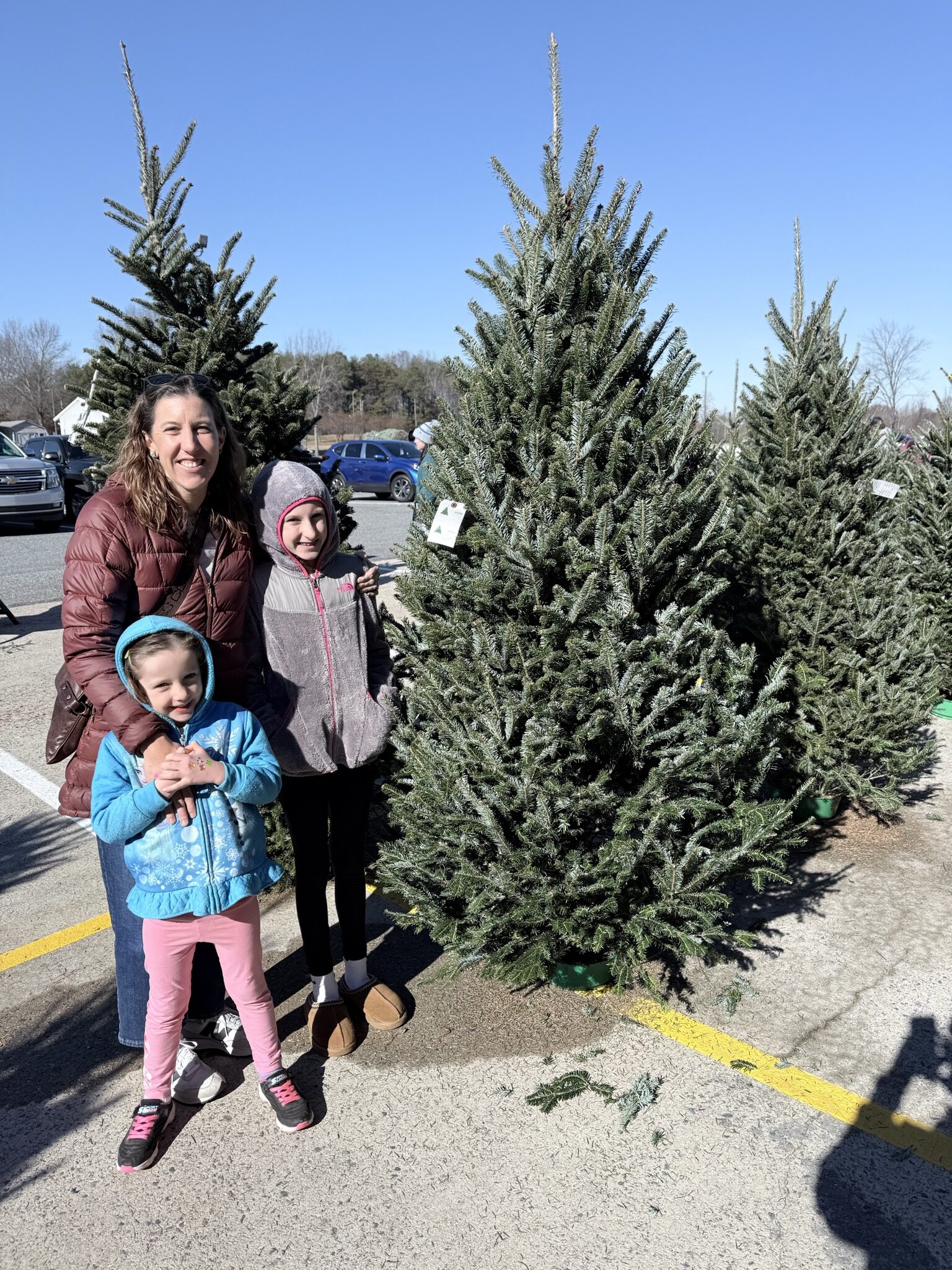 Christmastime, Rosies Birthday, and Raisins are Poisonous
