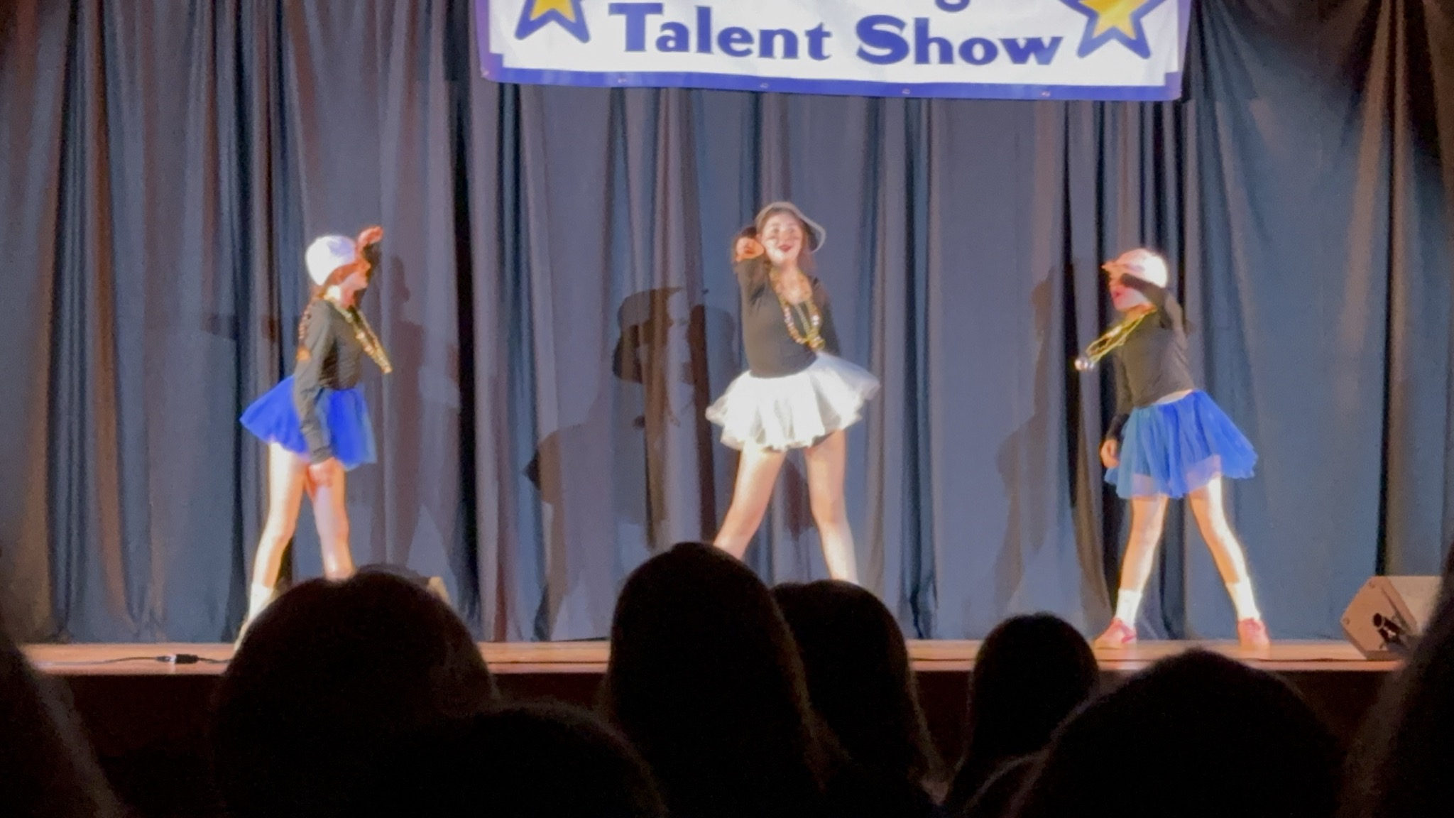 Talent Show, Ice Skating, and the Dog House